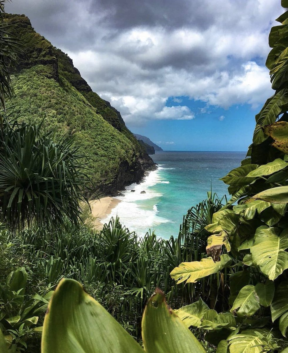 TheEternalTrip's tweet photo. Kauai 🌴 https://t.co/A7WIt9kyXB