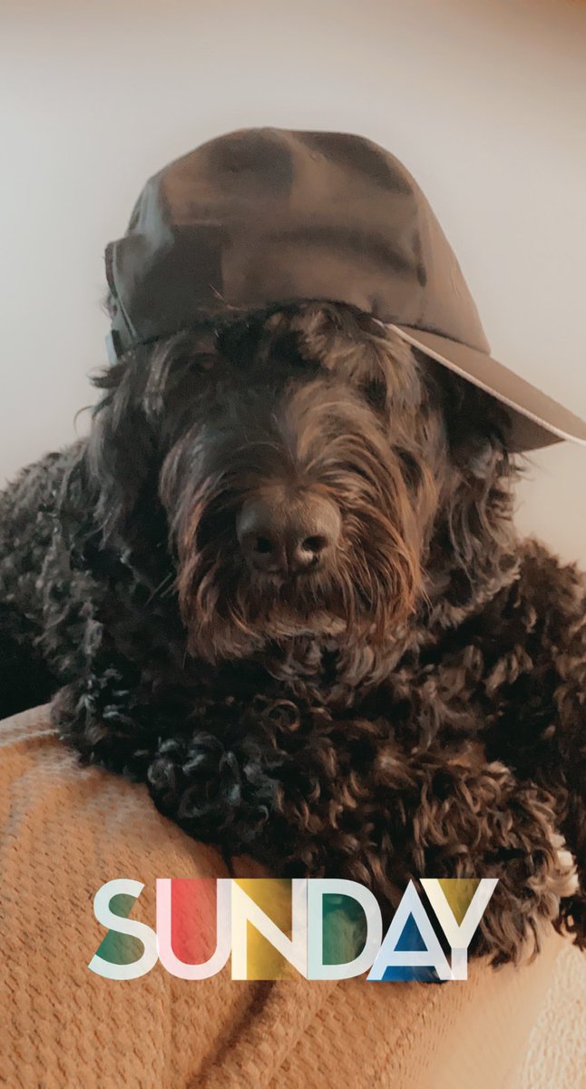 vickiperlini's tweet photo. One of those kind of days #dadshat https://t.co/kaErN0VHhl