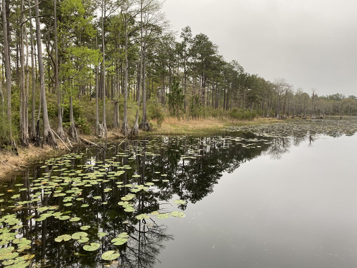 Alexa G. Guerrera tweet media