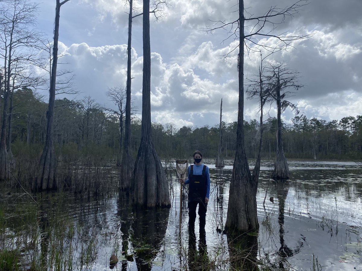 Alexa G. Guerrera tweet media