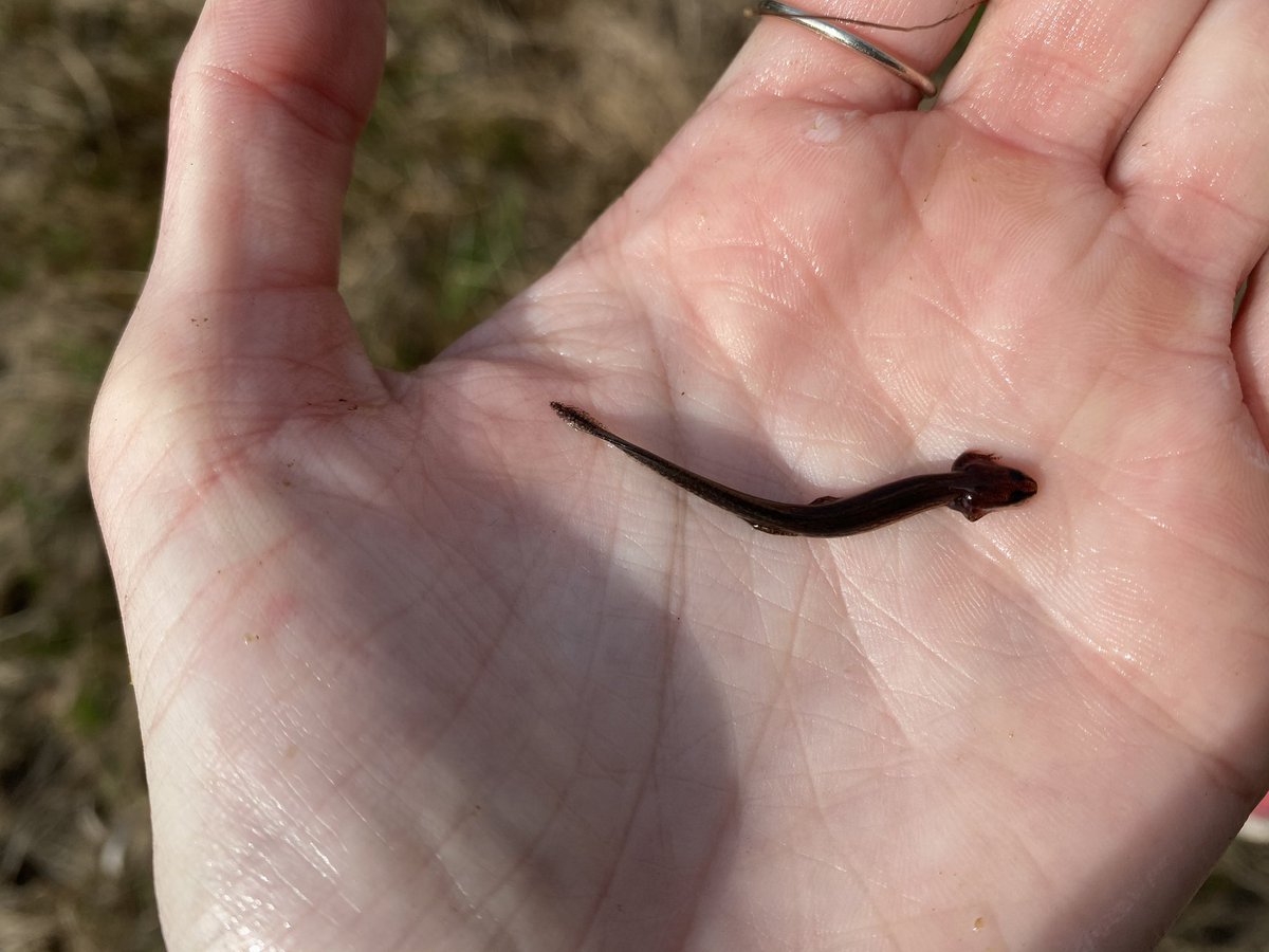 Alexa G. Guerrera tweet media