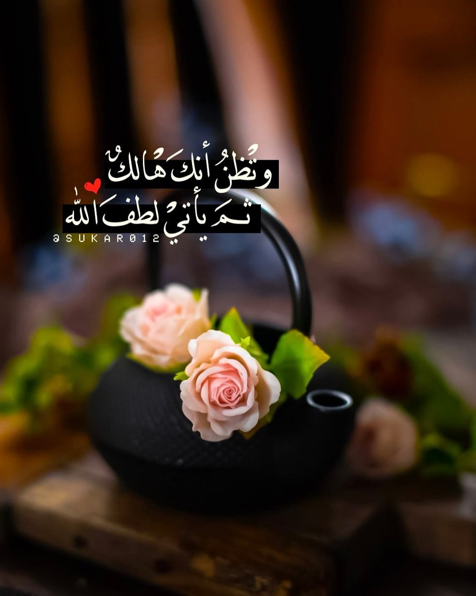 وتظن أنك هالك، ثم يأتي لطف الله..📮🌿
<a href="/BetaqaDaawia/">بطاقة دعوية</a> 
#مساء_الخير 
#الوتر
#رمضان 
#لقلبك