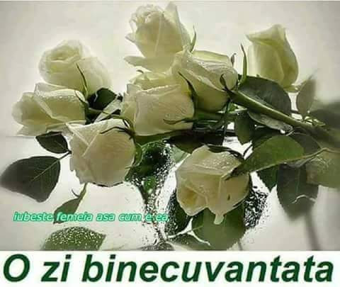 SimonFely's tweet image. Din toata inima cu drag si te asteptam cu drag si dor STAN