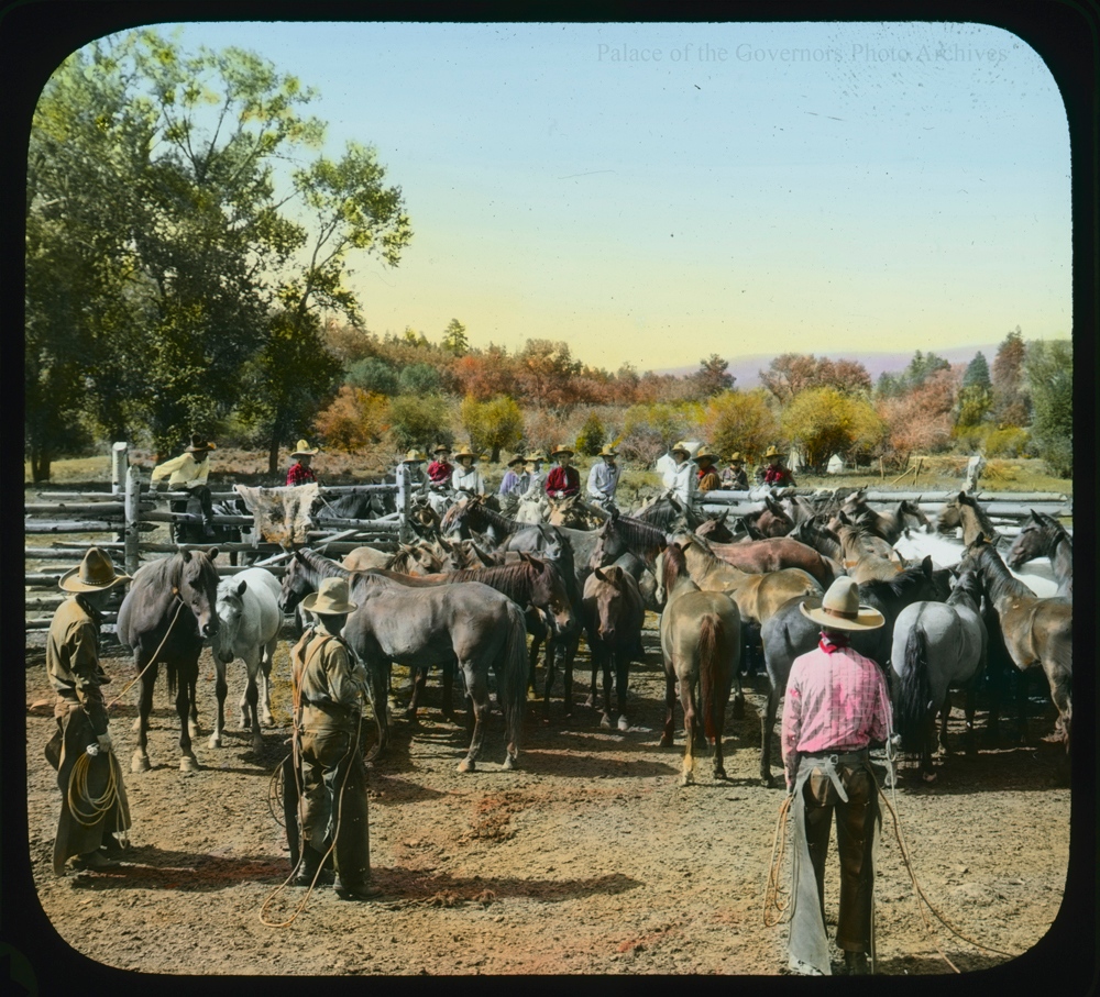 pogphoto's tweet photo. #Horse #corral, #Canjilon Camp, #NewMexico, 1920 - 1930?
Photographer: Edward Kemp (POG LS.1408) https://t.co/TOLyXkTrHl