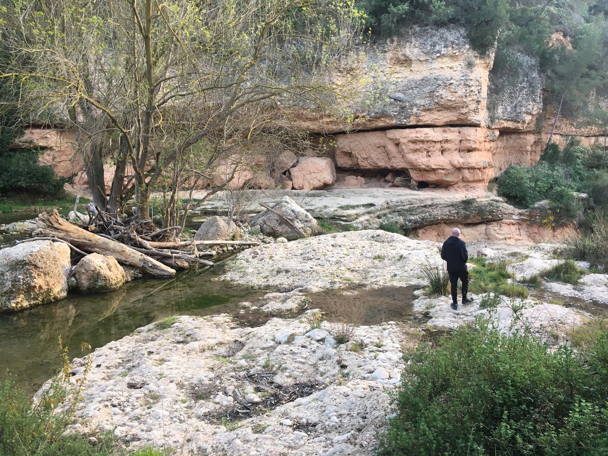monfuguetmarti's tweet photo. Gaianejar i veure-la a tocar del gorg més bonic del món. #Vinca #VincaMinor #Albareda i posta de sol. Ha passat la parella de bernats pescaires. Tot màgic. https://t.co/ooyhaM1Ot6
