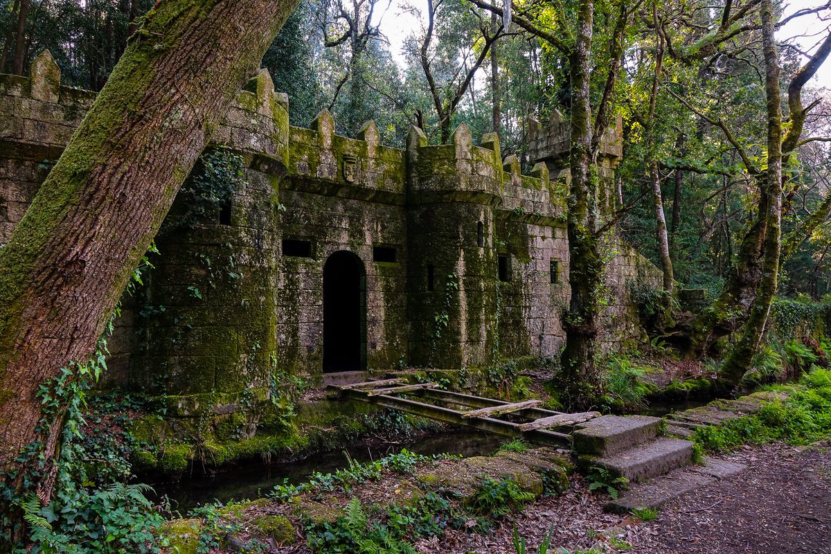 arboles_magicos's tweet photo. Bosque Encantado de Aldán (Po)
La familia de los Condes de Canalejas donó al Concello de Cangas la  conocida como la Finca do Frendoal, que ahora es de acceso público para que lo disfrute todo el mundo.
Se trata de un bosque atlántico oscuro debido a la densa vegetación. https://t.co/h89kDLp99a