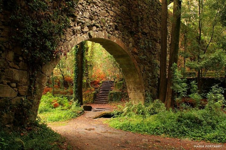 arboles_magicos's tweet photo. Bosque Encantado de Aldán (Po)
La familia de los Condes de Canalejas donó al Concello de Cangas la  conocida como la Finca do Frendoal, que ahora es de acceso público para que lo disfrute todo el mundo.
Se trata de un bosque atlántico oscuro debido a la densa vegetación. https://t.co/h89kDLp99a