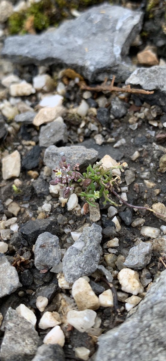 Mike Dilger 💚 tweet media