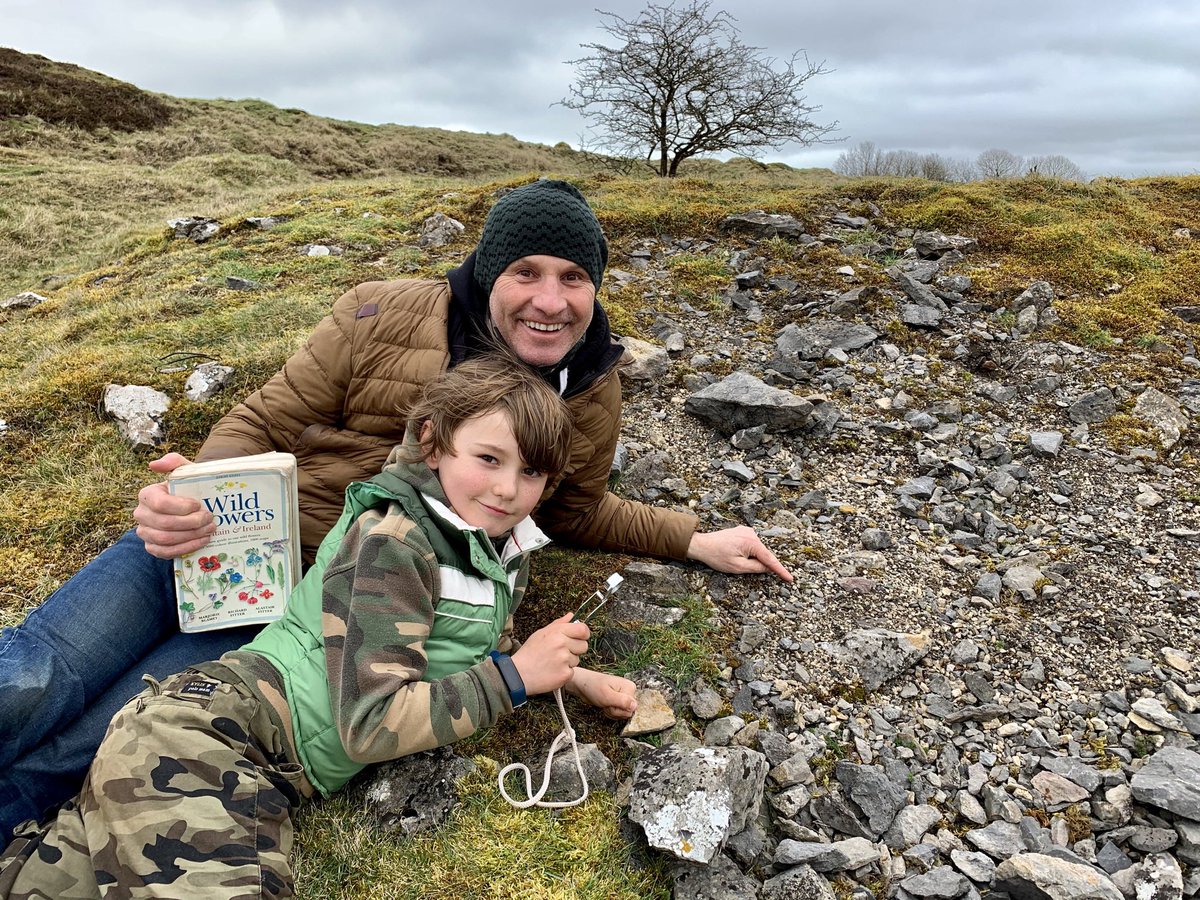 Mike Dilger 💚 tweet media