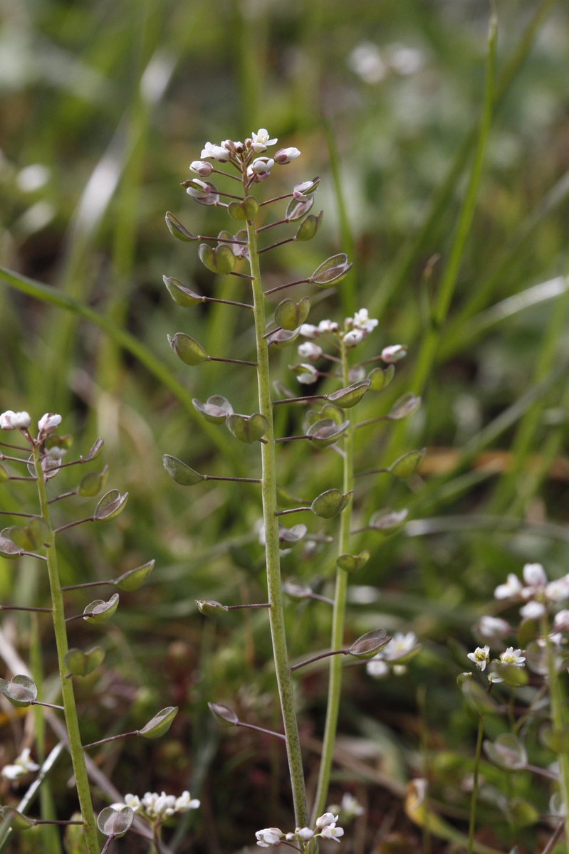 Mike Dilger 💚 tweet media