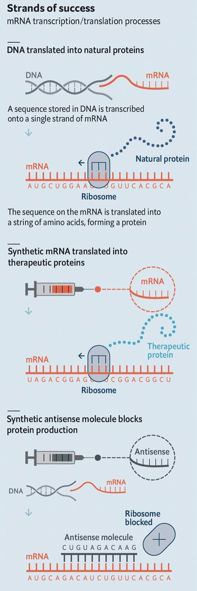 Eric Topol (@erictopol) on Twitter photo The pandemic's ultimate science wake-up call: RNA
economist.com/briefing/2021/ā¦
podcast <a href="/kncukier/">Kenneth Cukier</a> economist.com/podcasts/2021/ā¦
on mRNA vaccine vs cancer, individualized, progressing quickly in clinical trials; for therapeutics making VEGF protein The pandemic's ultimate science wake-up call: RNA
economist.com/briefing/2021/ā¦
podcast <a href="/kncukier/">Kenneth Cukier</a> economist.com/podcasts/2021/ā¦
on mRNA vaccine vs cancer, individualized, progressing quickly in clinical trials; for therapeutics making VEGF protein