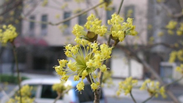 honky_tonk's tweet image. 気に食わないのデスネ、色々。
今日の天気も体調も、成行きも、社会の出来事も･･･
朝から晩まで数知れず「障って」います。

ただ、深いところでとても静かに世界を見ている目もあり。
ascension2011.jugem.jp/?eid=910
#Soul #魂 #awakening #覚醒