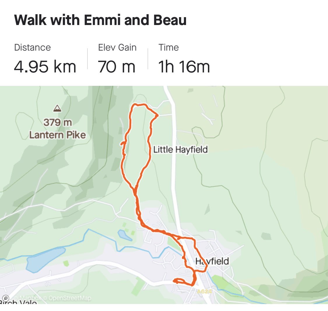 flynn_nancy's tweet image. Day 14 🥳 #2weekchallenge and 100.64k walked altogether!! Had not only the dog for company today but my older two tagged along as well. What a brilliant 2 weeks it has been @himynameisjaneg @MeersGail @rachrobertson01 @joannerushton3 @debbiemerrick5 @karenklmmoore @vikster1980