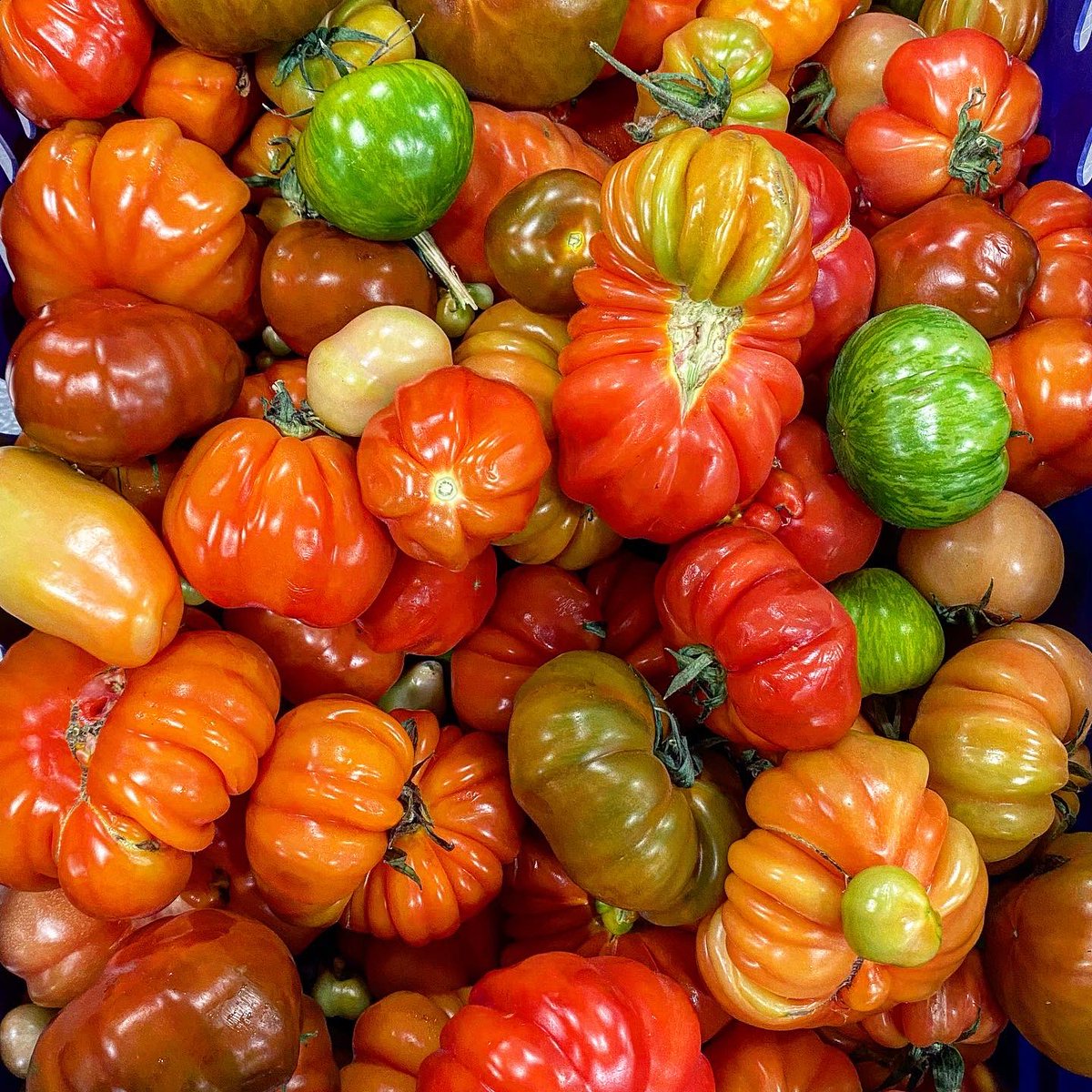 andylownslow's tweet image. Hey #BrumHour last call for my three course #Eastermenu. First of the season heritage @WestlandsUK toms, Shropshire Lamb and bourbon sticky toffee pudding all cooked over fire.