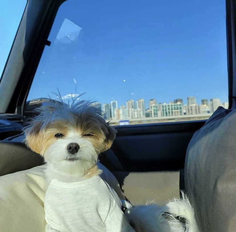ChanyeolChile's tweet photo. 210328 Actualización de #CHANYEOL en Bubble para Lysn☀️

💬: ¿Tuviste un buen día hoy? Estaré bien, volveré bien🤭
💬: Tengo un regalo preparado, no te preocupes. Tengo que ir a dormir, ¿ok?🥰

#찬열아_우린_worry_about_nothin
#항상찬열이편
#OurPrideCHANYEOL
#AlwaysYoursCHANYEOL https://t.co/KQ7fAKuGrX