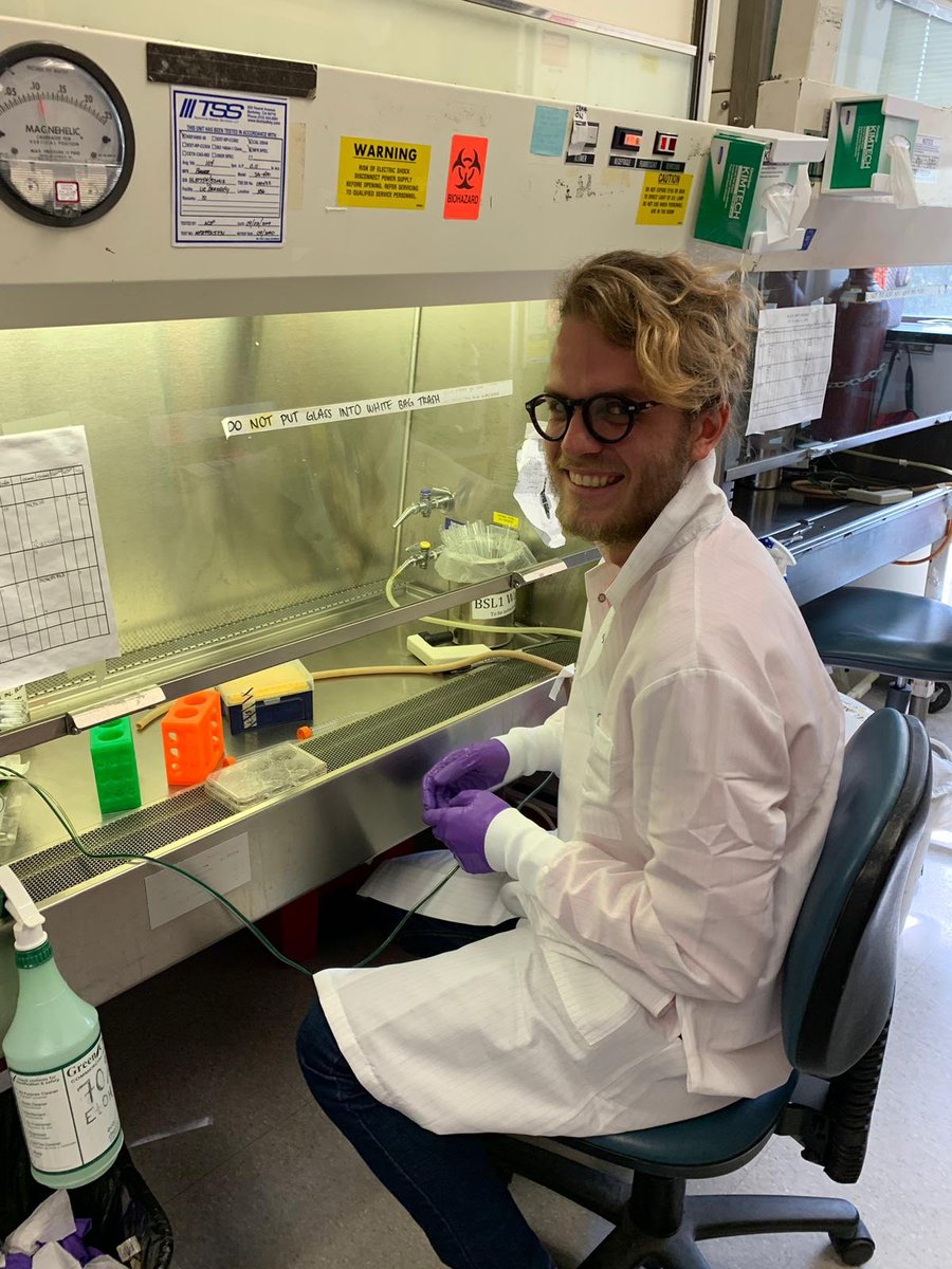 Seth Shipman tweet media