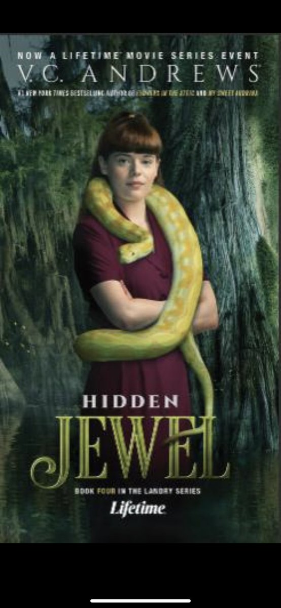 WillVerchere's tweet photo. Tune in tonight to Hidden Jewel on @lifetimetv in the US only. Still TBD when it’ll air in Canada. https://t.co/UqE9ckjGQA