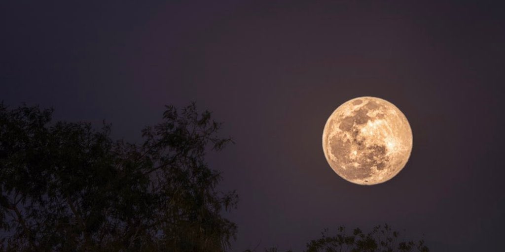 Marzo se despide con esta belleza. 🌕