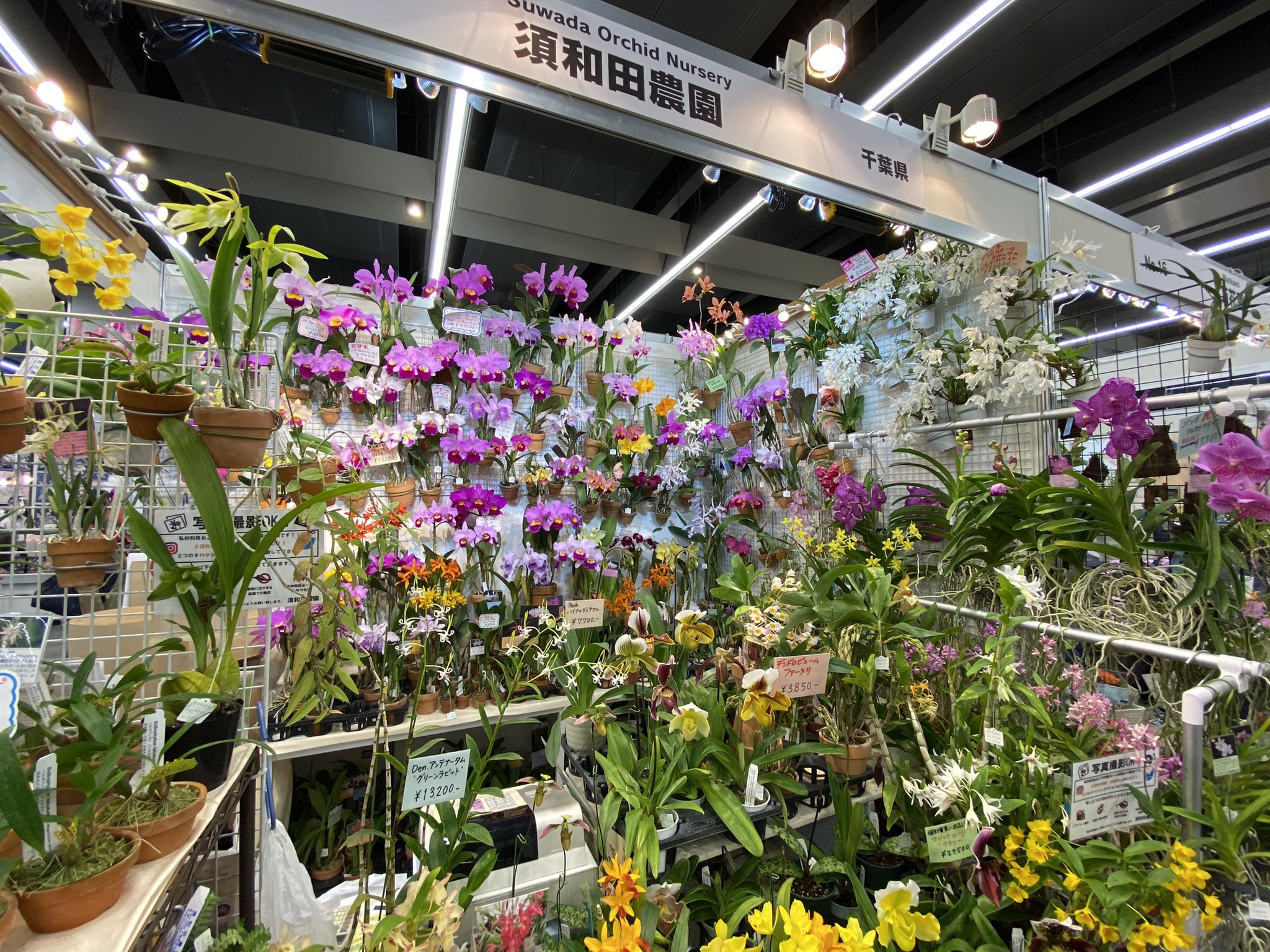 須和田農園 世界らん展も残すところあと3日となりました ご来場の際には是非当園ブースまでお越しください 世界らん展21 須和田農園 T Co R2tndgryce Twitter