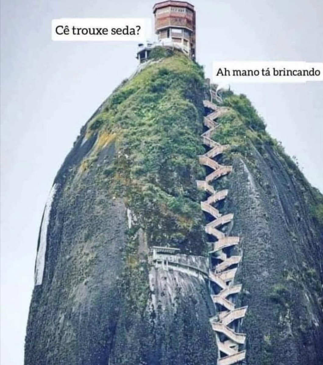 🍁 CANÁBICO 🍁 (@fumeimuito) on Twitter photo 