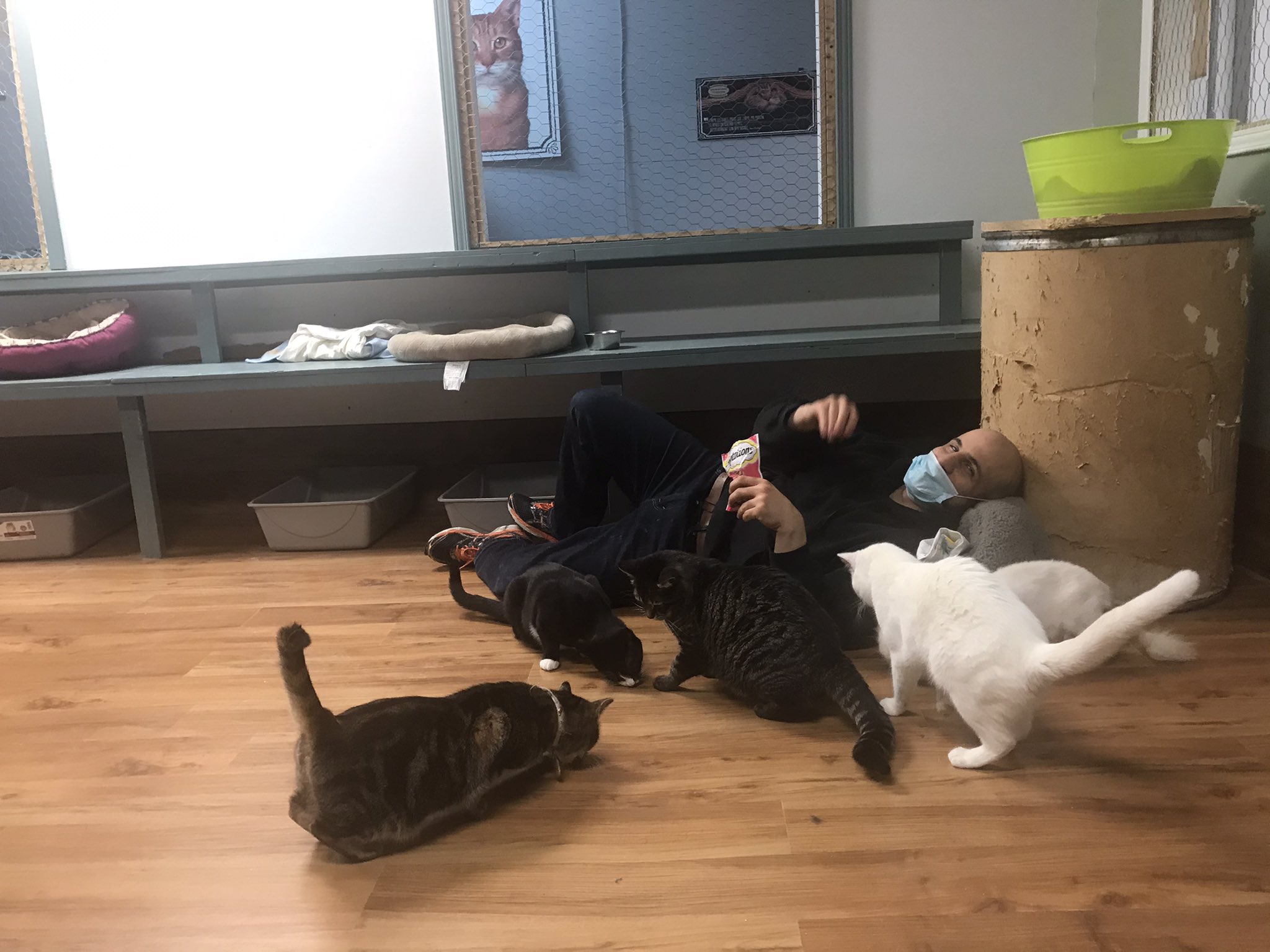 TW Pornstars 2 pic. Rick Hard. Twitter. My Favorite Place Helping