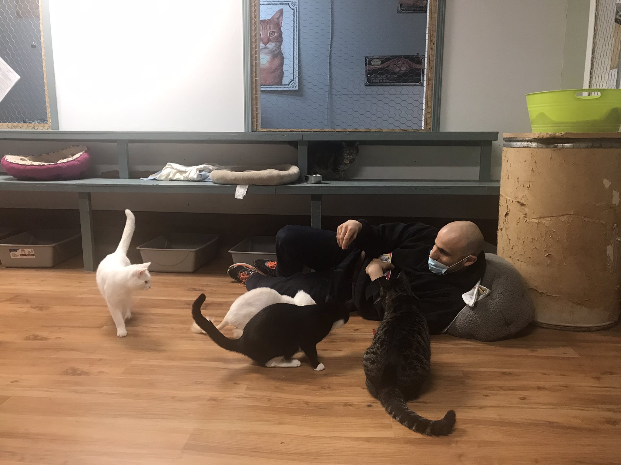 TW Pornstars 4 pic. Rick Hard X. Twitter. My Favorite Place Helping