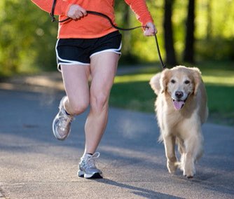 dogslifeorg's tweet photo. SAVE THE DATE! Miles for Mutts is back and will take place on June 26, 2021. Stay tuned for more details. #dogslife #milesformutts #RaceDay #dogsoftwitter https://t.co/mgwDBs4qnW