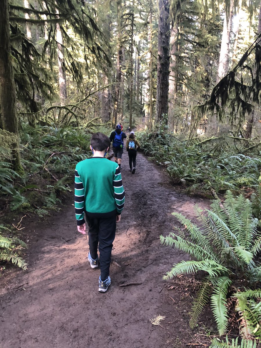 schay_esparza's tweet photo. Getting away to the woods always make the fam happier...even if they complain before we start...always worth it! And the al pastor baby burrito at the hidden taco truck afterwards was a delicious reward 🌯 https://t.co/IsD1aMbIan
