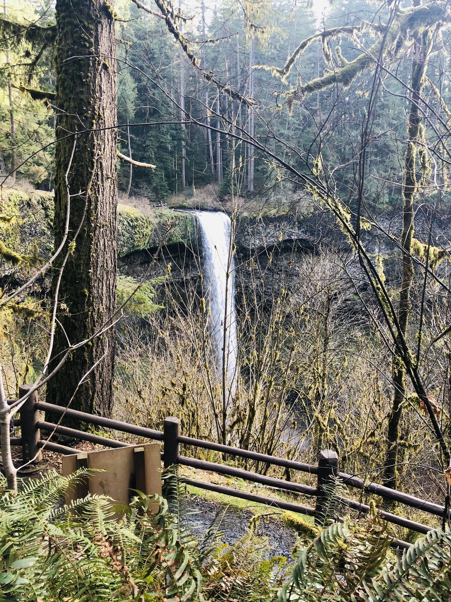Getting away to the woods always make the fam happier...even if they complain before we start...always worth it! And the al pastor baby burrito at the hidden taco truck afterwards was a delicious reward 🌯