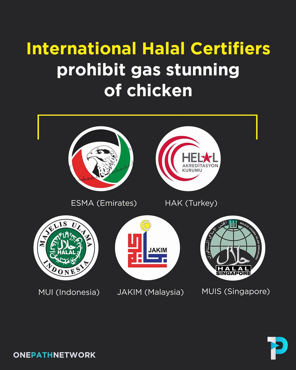 OnePath Network tweet media