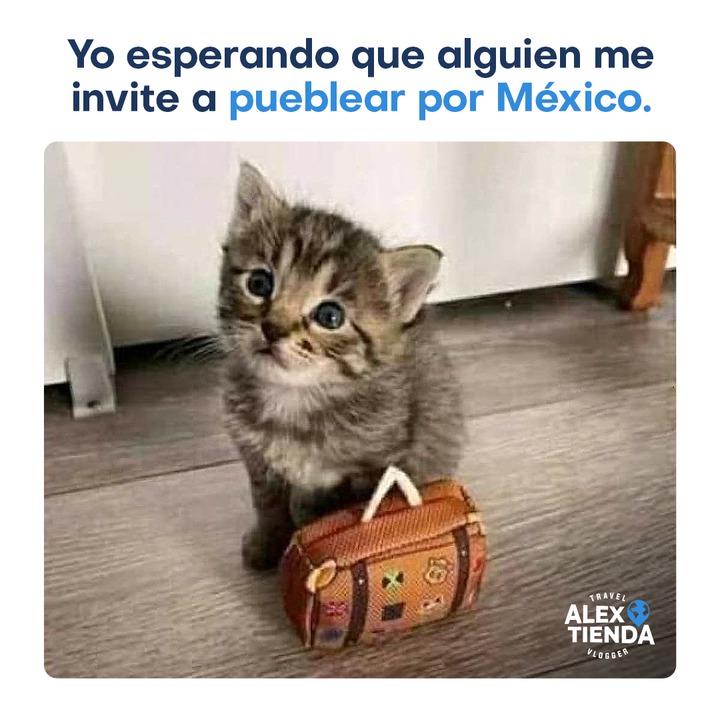 Memes Pueblo Magico 30+ Wholesomely Hilarious Memes Of Disney's Magic