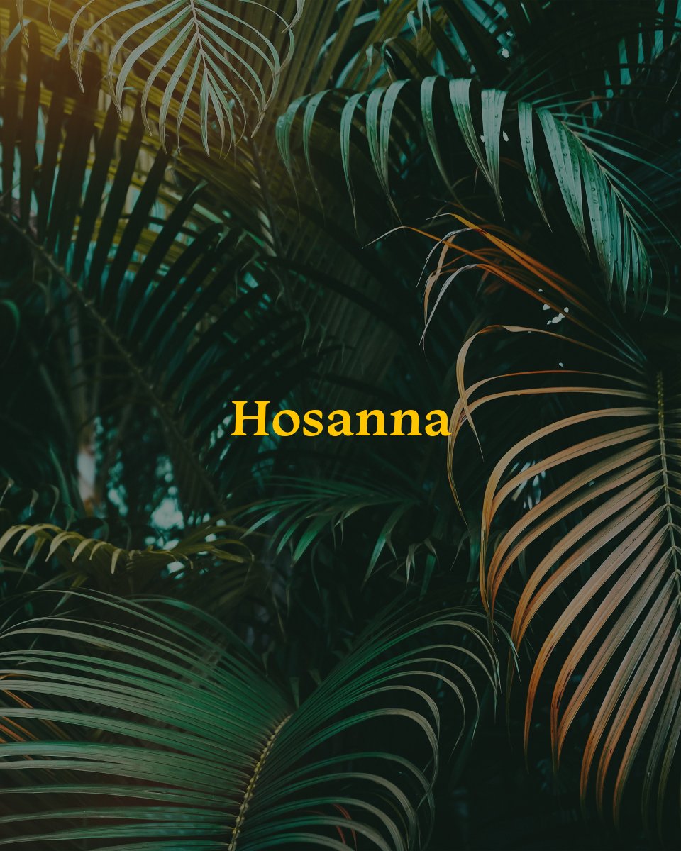 ho·​san·​na (hōsanna, hōshīʽāh-nnā); 

exclamation 
(especially in biblical, Judaic, and Christian use) used to express adoration, praise, or joy.
"“Hosanna, blessed is he who comes in the name of the Lord.“"

noun
an expression of adoration, praise, or joy.