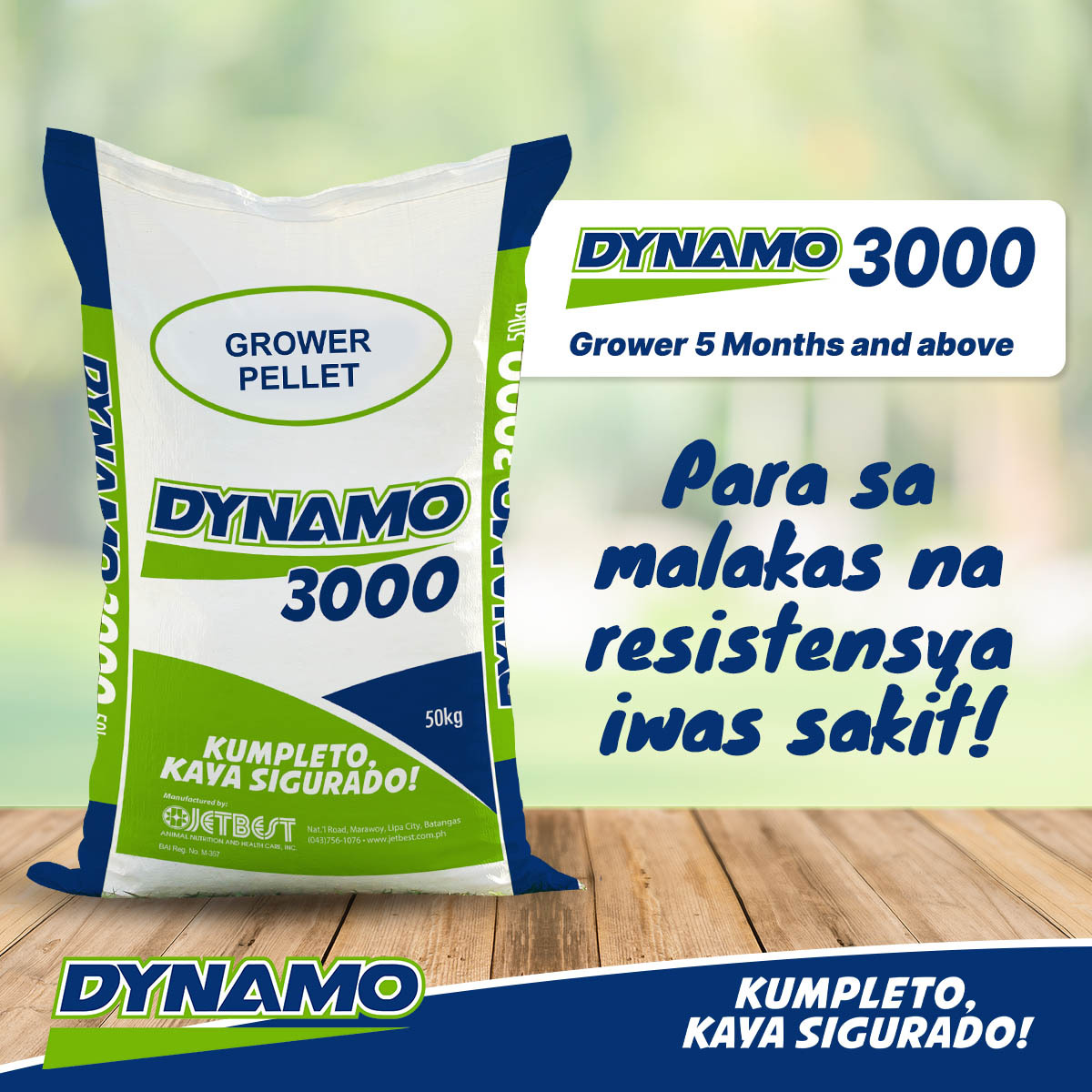 JetStarFeeds's tweet photo. Gawing malakas ang resistensya ng mga manok niyo with DYNAMO 3000 Grower Pellet, dahil dito nila makukuha ang kompletong nutrisyon para sa magandang paglaki at mas malakas na resistensya! 💯

-

#Dynamo #KumpletoKayaSigurado #tuloyangalaga #poultry https://t.co/RTDzyVdWyT