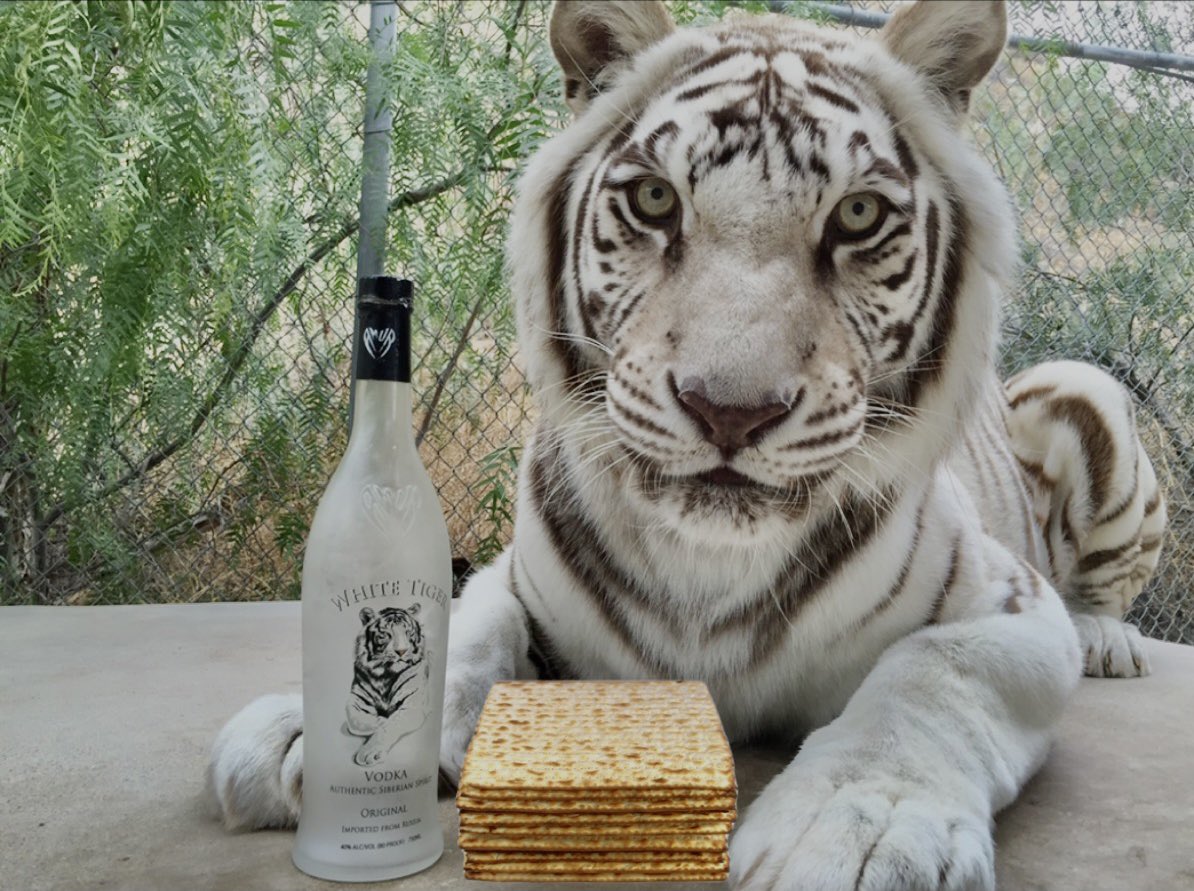 Happy Passover from White Tiger Vodka!