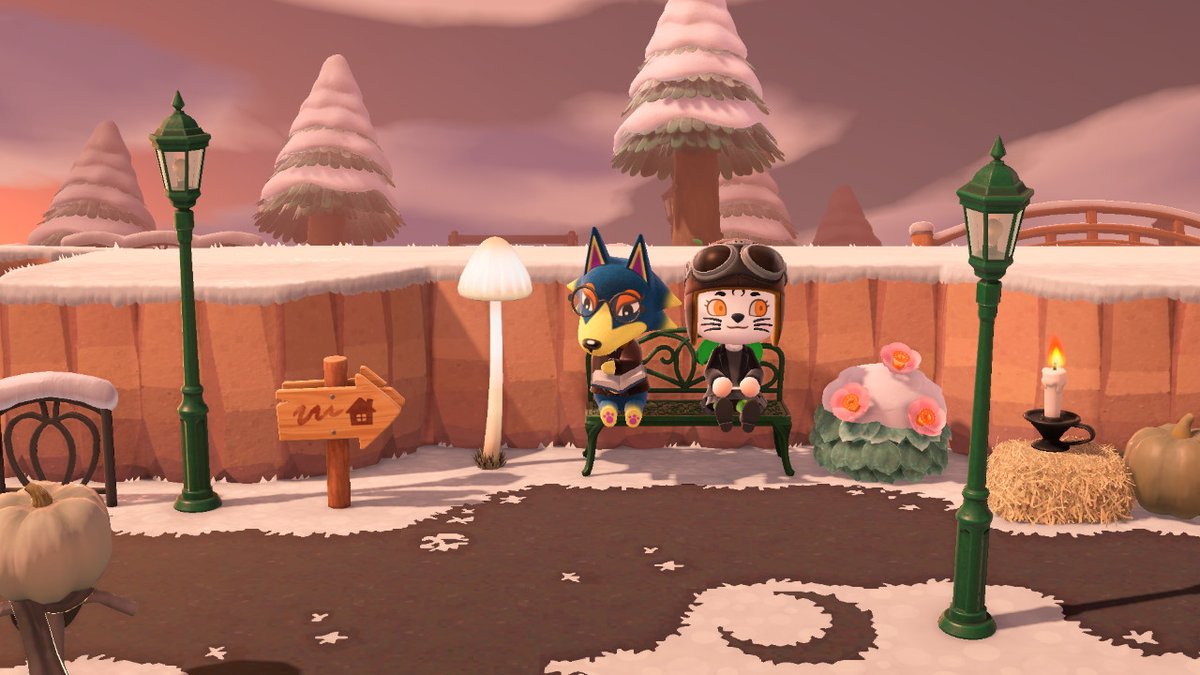 LunasCrossing's tweet photo. #AnimalCrossing #ACNH #NintendoSwitch https://t.co/5Op1hpGsdC