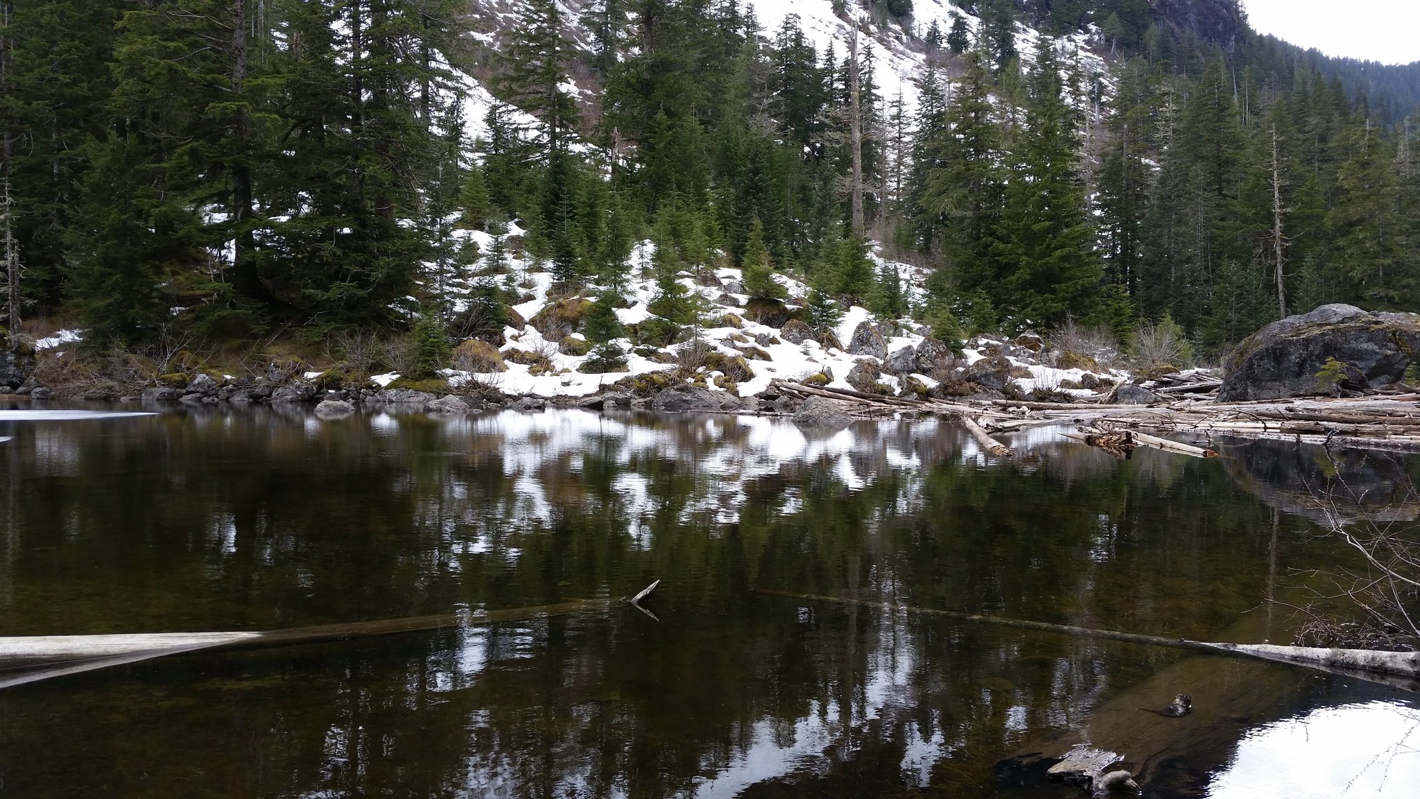 X \ caleb neal على X: 