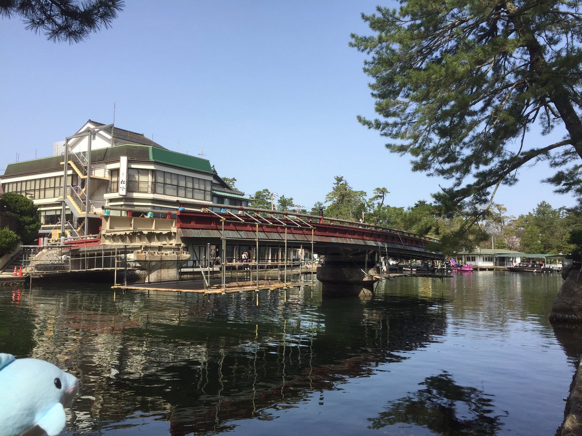 しおぜる いるか 天橋立廻旋橋 大型の船が橋の下をくぐれないので橋の向きを90 変える 昔は手動で回していたらしい 1日1回9 55は確実に回転するので狙い目 P旅行記 238