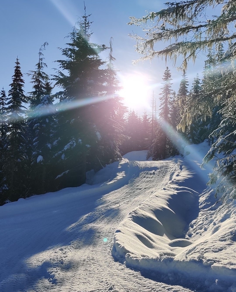Looking to the week ahead with sunshine in our eyes 🤩

Spring means winter activities up top and summer activities down low, make the most of it while it's here &amp; don't forget ONLINE10 gets you 10% off all winter activities.

tagwhistler.com

📷: <a href="/oliverb/">Battery low...</a>.mtb.ski