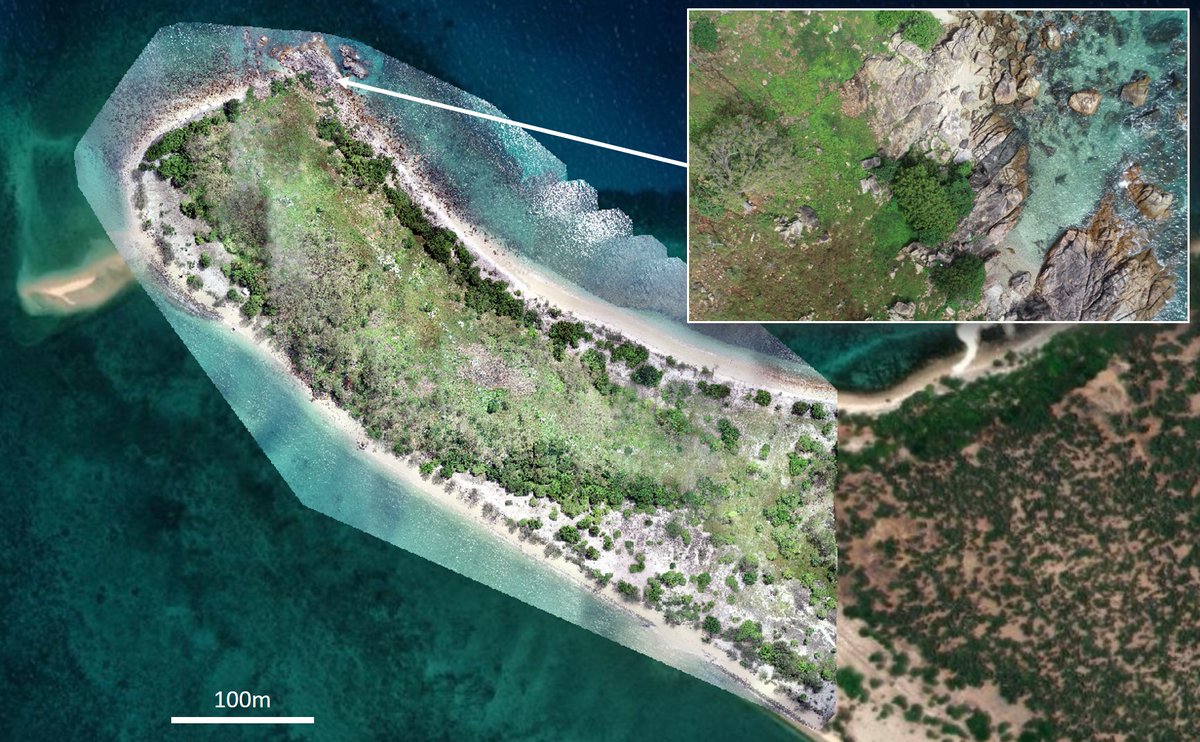 DrKJoyce's tweet photo. When the tide's too high and the sun too glinty for #coral mapping, we're doing a little island mapping! This is Eumilli (Fantome) Island - well the northern tip of it anyway :) @StephanieDuce @jack_koci https://t.co/UIHm8ob8q5
