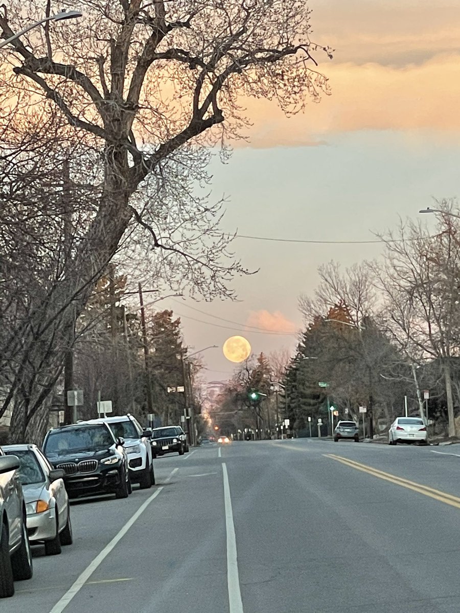 RachelFiedler3's tweet photo. did anyone else see the moon this morning bc I thought I was dreaming https://t.co/GI3Ryx4Hdi