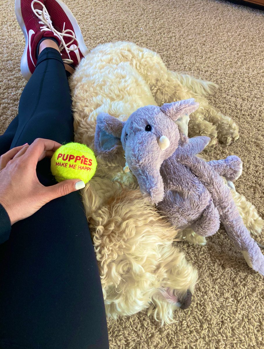 Truth! <a href="/Amanda_Balionis/">Amanda Balionis</a> <a href="/PGATOUR/">PGA TOUR</a> <a href="/LPGA/">LPGA</a> @marchmadness #SundayMotivation