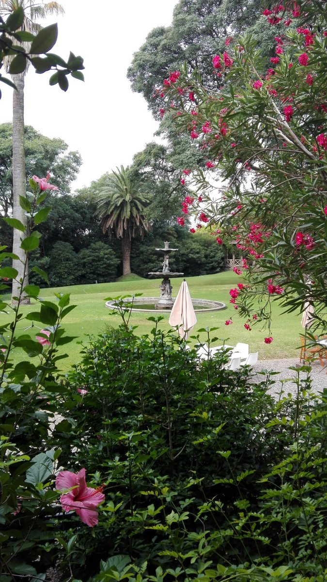 Queres ganar entradas para visitar Villa Ocampo? 🎟🤩 No te pierdas el sorteo en nuestro Instagram <a href="/villa_ocampo/">Lilia Villa Ocampo</a> o ingresando al siguiente link 👉 bit.ly/39lSJ8n