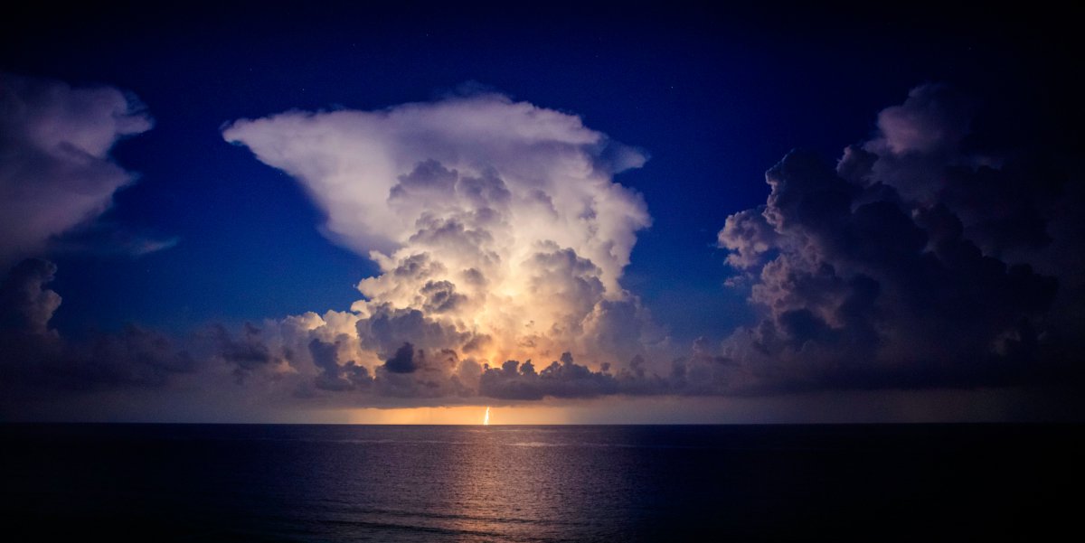 cihangiripekkan's tweet image. 