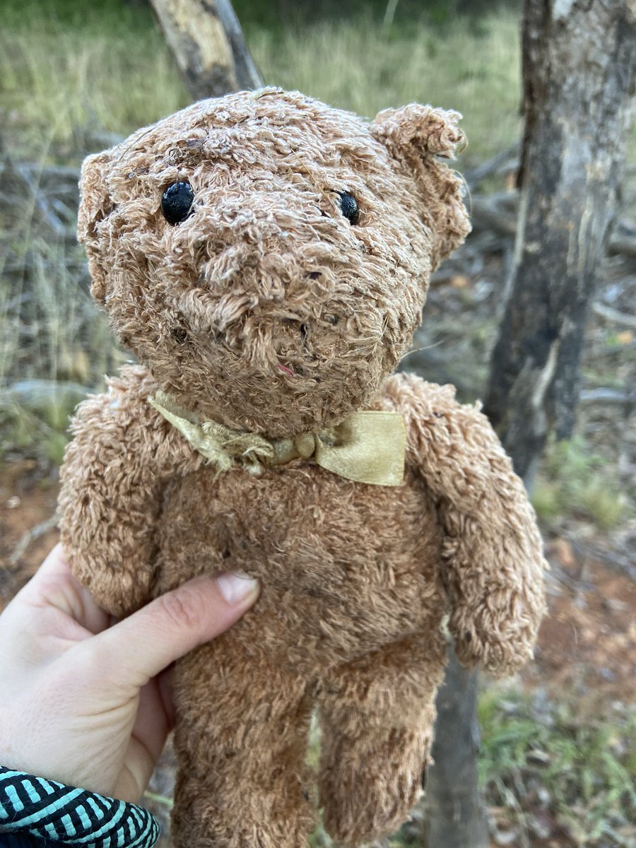 This is an emergency. Found on Mt Ainslie this morning - please share to try to find owner 🤗