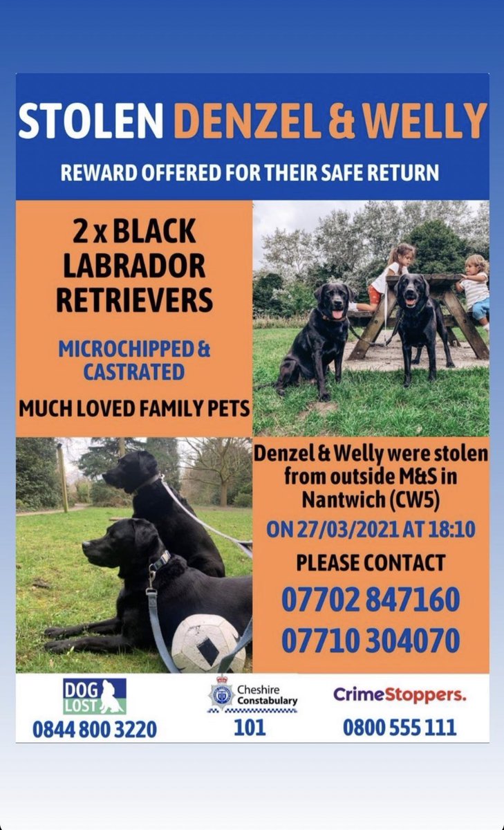 jadiemoff's tweet photo. PLEASE SHARE ❤️
Yesterday my neighbours dogs got stolen and they have yet to be found or returned. We need them home safe. They are part of a family and it’s left any empty whole. Please can you share this wherever you can as we need them home 🐶💕 https://t.co/hWpSWuAtoO