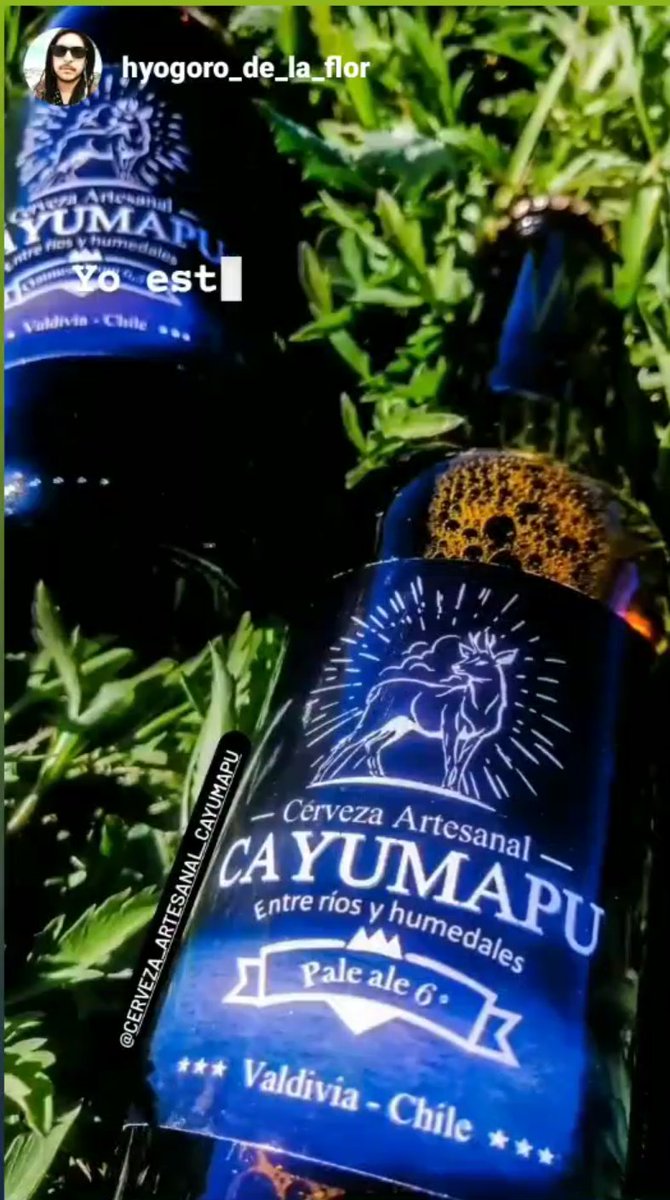 CCayumapu's tweet photo. Nuestras cervezas, siguen la ley de la pureza agua, malta, lúpulo y levadura...de aquí salen estás excelentes cervezas Valdivianas.
#oatmealstout #paleale #valdivia #Valdiviacl #santiagodechile #Santiagocl #Valparaiso #viñadelmar #temuco #osorno #rancagua #beers #cervezaa https://t.co/vOekQzFDUe