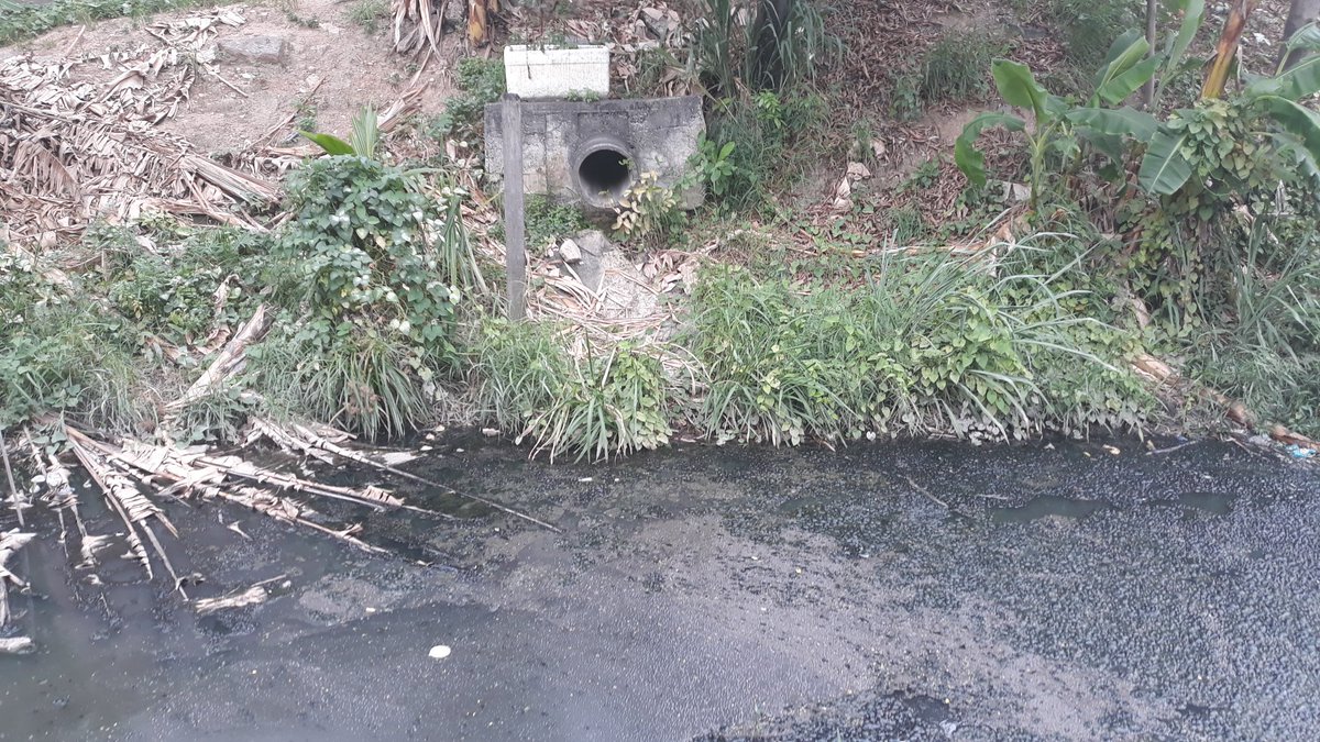 deedeeftn's tweet photo. Desafio a todos os orgãos, todas as secretarias da @Prefeitura_Rio e ao @eduardopaes a virem fazer uma caminhada comigo pelo bairro do Caju e a me explicarem como e por que um bairro no Centro do RJ está tão abandonado. (1/3) https://t.co/l7o9fWzpZp