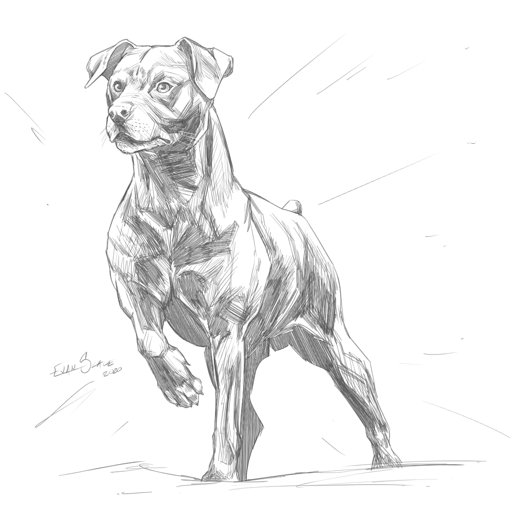 Evan_Scale's tweet photo. Weekly studies
creature study from Bobby Rebholz's work
comic study from Carlos Gomez's work
#study #sketch #sketchdaily #drawing #pencil #sketchoftheday #sketchaday #pencildrawing #artdaily #anatomy #pose #comicstudy #carlosgomez #creature #monster #bobbyrebholz #dog https://t.co/8GA9GBNxja