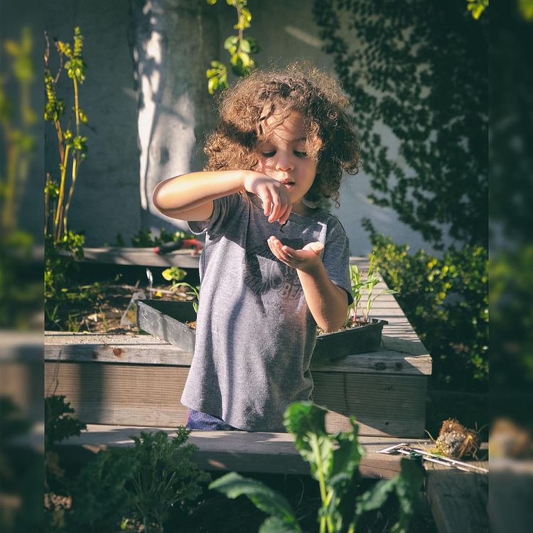 ziggymarley's tweet photo. “ The miracles of life surround us everyday, and in the simple things is where they love to play.... oh what a joy it is to plant one and reap many” The Garden Song of Miracles #morefamilytime #sundayfunday #gardening #ziggymarley https://t.co/PLIeW5pxjA