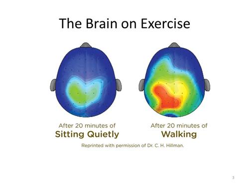 After brain. Brain Walking. Brain after Walking. Brain after sitting quietly. Brain Boostin activity.